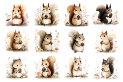 Cute Woodland Squirrel Clipart Bundle 40 PNG Product Image 4