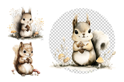 Cute Woodland Squirrel Clipart Bundle 40 PNG Product Image 5