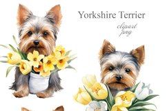 Yorkie Bundle Product Image 3