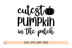 Cutest Pumpkin In The Patch SVG Product Image 1