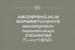 Wide Road Bold Decorative Font Product Image 12