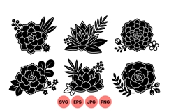 Hand Drawn Succulent Floral Vector Illustrations Product Image 1
