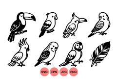 Exotic Tropical Bird Vector Clipart Design Product Image 1