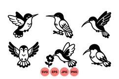 Hand Drawn Hummingbird SVG Clipart Design Product Image 1