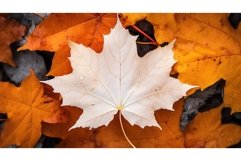 fragile foliage white autumnal close ai generated Product Image 1