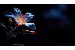 minimalist empty dark background Product Image 1