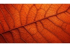 colorful orange composition wallpaper macro ai generated Product Image 1