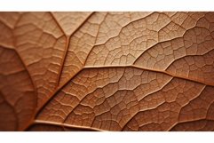 natural colorful brown wallpaper close ai generated Product Image 1