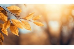 background beautiful sunlight day close ai generated Product Image 1