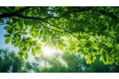 beautiful green frame sunlight picturesque ai generated Product Image 1