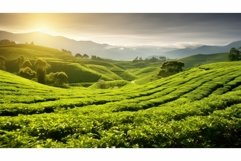 healthy green tea drink tea ai generated Product Image 1