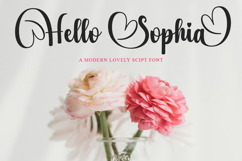 Sweet Romantic - Family Font In 42 Styles Product Image 5