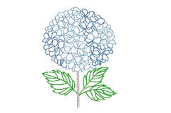 Hydrangea Machine Embroidery Design Product Image 1
