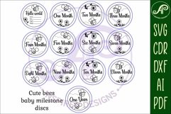 Baby monthly milestone discs SVG Bees theme Product Image 4