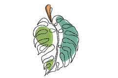 Monstera Leaf Machine Embroidery Design Product Image 1