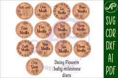 Baby Milestone Discs Daisy Floral, Monthly Baby photo props Product Image 4