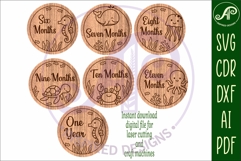 Ocean animals themed Baby monthly milestone discs SVG laser Product Image 4