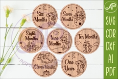 Cute Baby Dragon Milestone Discs, Monthly Baby Photo Props, Product Image 4