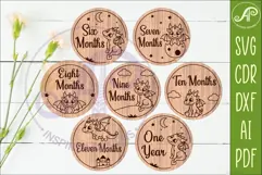 Cute Baby Dragon Milestone Discs, Monthly Baby Photo Props, Product Image 4