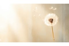 bright light empty background ai generated Product Image 1