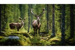 cedar coniferous forest taiga ai generated Product Image 1