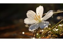 tidal salt marsh landscape ai generated Product Image 1