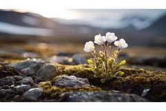 vast tundra landscape close ai generated Product Image 1
