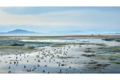 tidal salt marsh landscape ai generated Product Image 1