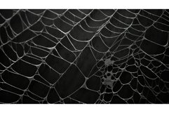 seamless web texture background Product Image 1