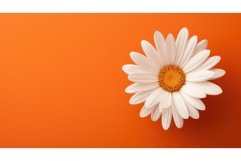 vibrant cover orange background Product Image 1