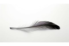 empty blank white background Product Image 1