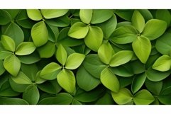 composition design shapes background Product Image 1