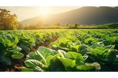 friendly cover organic background Product Image 1