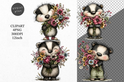 Raccoon Clipart, Animals Clipart, Whimsical Clipart Product Image 1