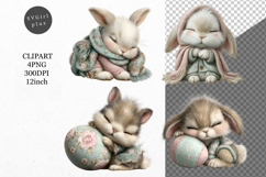 Bunny clipart, Easter clipart, Spring clipart Product Image 1