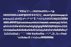The Quality Level Product Image 4