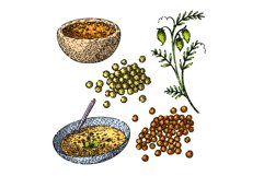 lentils set sketch hand drawn vector Product Image 1