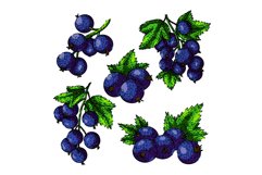 black currant set sketch hand drawn vector Product Image 1