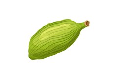 cardamom green spice cartoon vector illustration Product Image 1