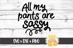 All My Pants Are Sassy SVG PNG DXF Cutting Files Product Image 2