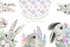 Curious rabbit. Watercolor Product Image 1