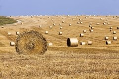 agricultural field with straw stacks Product Image 1