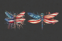 4th of July Dragonfly sublimation print design PNG Product Image 2