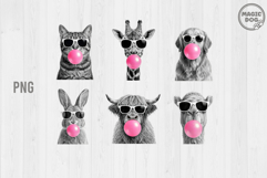 Animal Bubble Gum with Sunglasses Nursery Wall Art PNG Product Image 1
