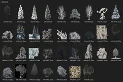 30 SNOW TREES TRANSPARENT PNG FILES, PHOTOSHOP OVERLAYS Product Image 3