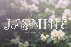 Web Font Jasmine Product Image 1