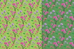 Drawn Flower Patterns and Elements Product Image 10