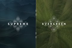 [Spring Vibes] 40 Mosaic Logos Product Image 10