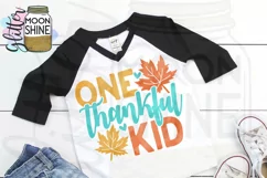 One Thankful Kid SVG DXF PNG EPS Cutting Files Product Image 2