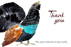 Watercolor clipart Winter birds Product Image 7